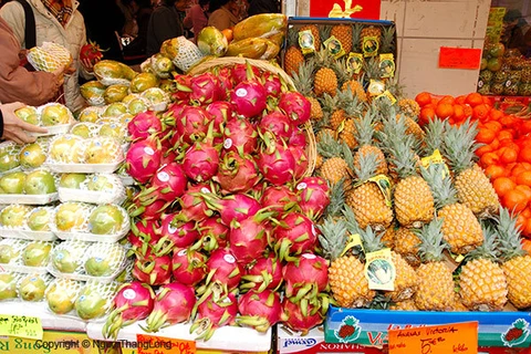 越南水果